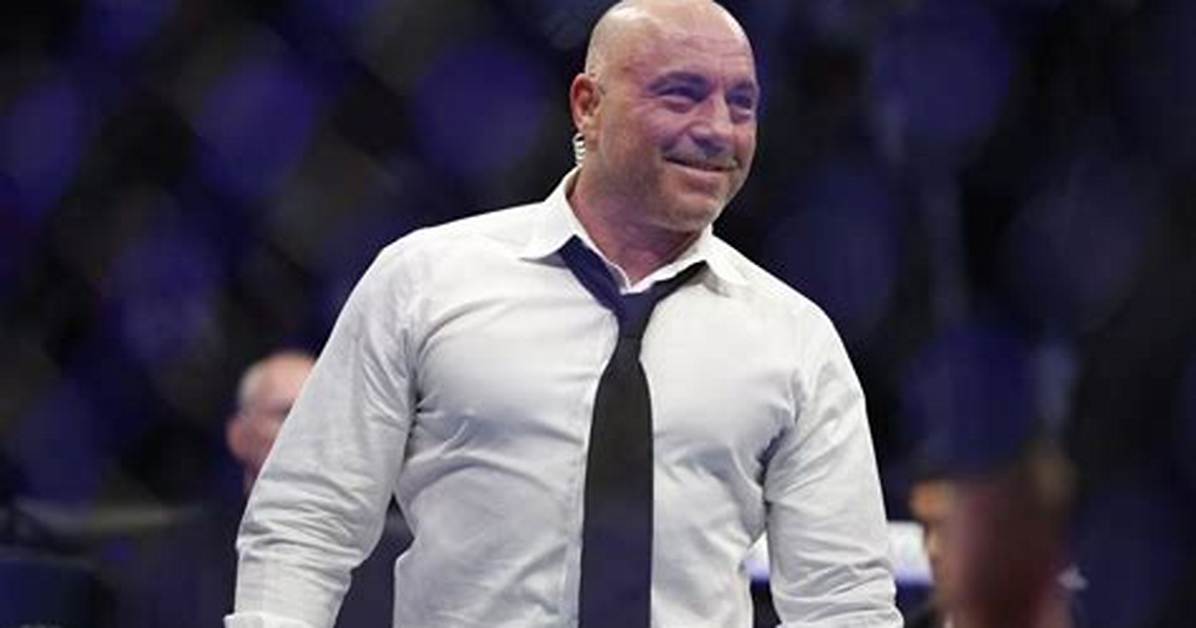 After Joe Rogans Huge Compliment, Undefeated Ufc Middleweight Star Revealsbiggest Factor for His