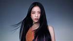 Blackpink Jisoo Becomes the New Brand Ambassador for Panthère De Cartier
