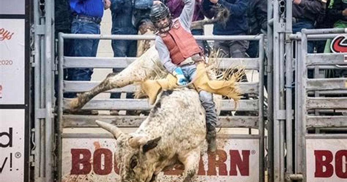 Despite 18-Year-Olds Terrifying Bull Ride, Popular Pbr Event Ends in the Mostunusual Way
