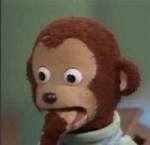 Exploring the World of the Shocked Meme