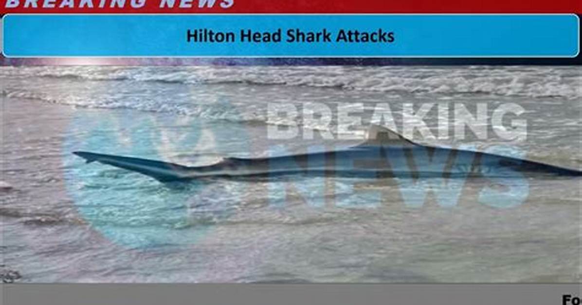 How Many Shark Attacks in Hilton Head 2023 South Carolina? the Talks Today