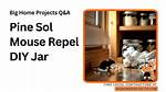 How to Repel Mice with Pine-Sol: a Natural Solution