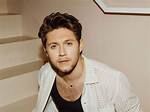 Is Niall Horan Gay? All About His Personal Life and Dating History!