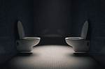 Uncover the Secrets of "Two Toilets Facing Each Other": a Restroom Design Revolution
