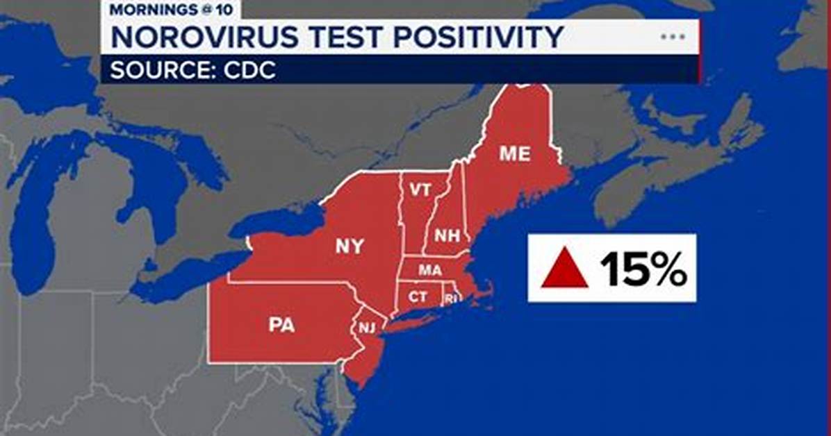 Understanding the Current Stomach Virus Outbreak Map