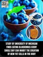 Understanding the Relationship Between Blueberries and Heartburn