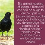 Unveiling the Significance of Birds in Our Ecosystem