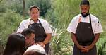 Who Won Top Chef Fan Favorite 2021? Get to Know the Chef and Restaurant Owner! ·